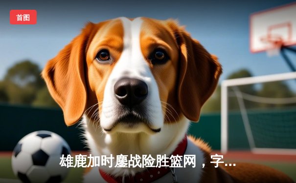 雄鹿加时鏖战险胜篮网，字母哥44+14+7主宰关键时刻